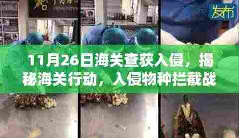 揭秘某年某月某日海关行动，入侵物种拦截战背后的故事