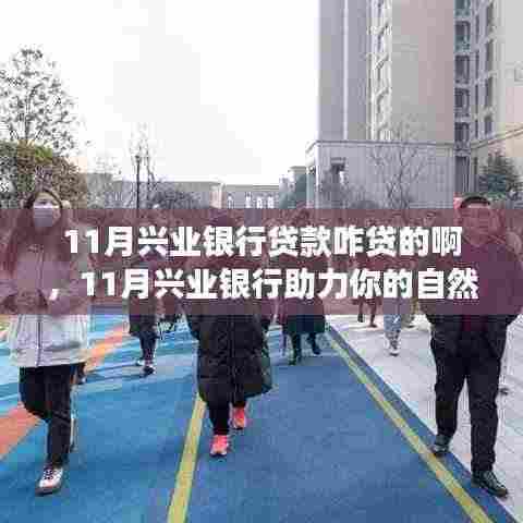 兴业银行11月贷款指南,轻松贷款启程探索美景,助力自然之旅