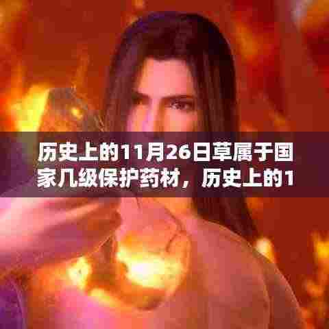 揭秘,历史上的草属药材国家保护级别揭晓,11月26日草属国家几级保护药材?