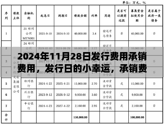 发行日的小幸运,承销费用背后的暖心故事