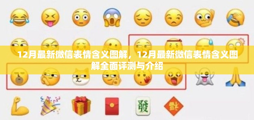 12月最新微信表情含义图解,全面评测与详细介绍