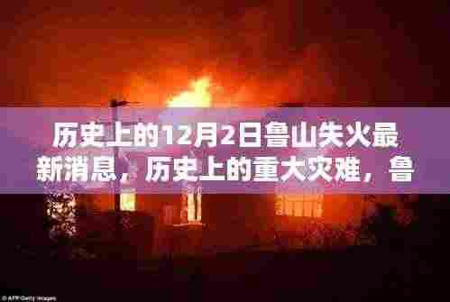历史上的重大灾难与鲁山火灾最新消息深度解析与评测