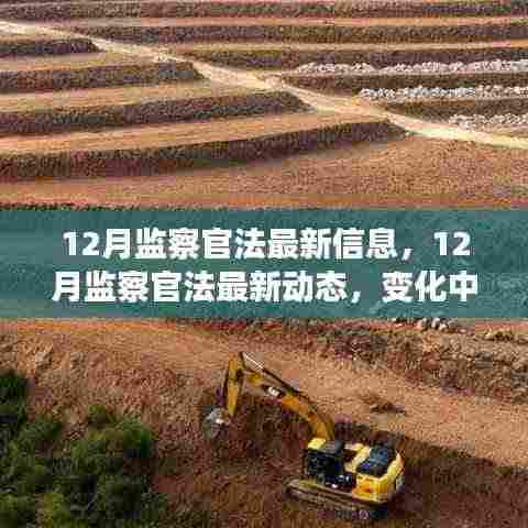 12月监察官法最新动态及变化解析,构筑自信与成就感的魔法之旅