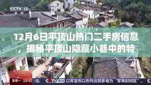 揭秘平顶山隐藏小巷特色小店与热门二手房背后的故事(独家报道)