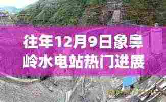 往年12月9日象鼻岭水电站进展热议,深度分析与观点阐述