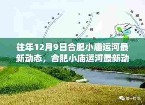 合肥小庙运河最新动态揭秘,特性、体验与竞争态势的深度解析