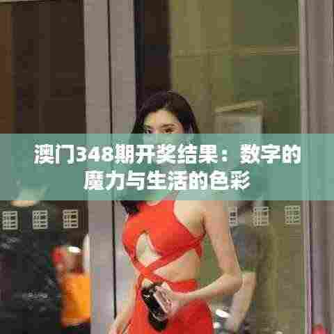 澳门348期开奖结果:数字的魔力与生活的色彩