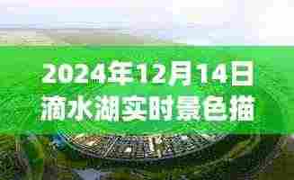 滴水湖梦幻冬夜景色实时描写