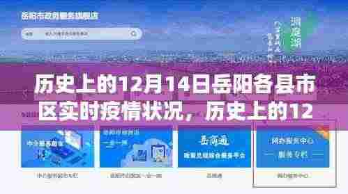 历史上的12月14日岳阳疫情实录与时代记忆，实时疫情状况与各地实录回顾