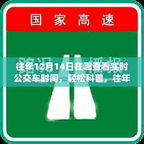 往年12月14日在线实时查看公交车时间,一站式解决方案轻松科普