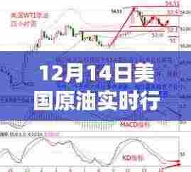 12月14日美国原油实时行情解析,市场洞察与个人观点