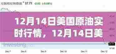12月14日美国原油实时行情解析,市场洞察与个人观点
