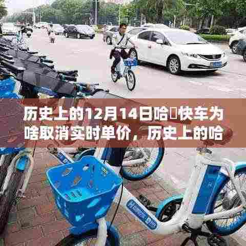 历史上的哈啰快车取消实时单价背后的原因解析,为何在十二月十四日做出这一决策?