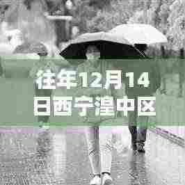 往年12月14日西宁湟中区天气预报及服务质量深度解析