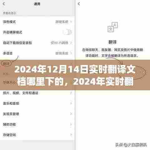 2024年实时翻译文档下载盛景,背景、事件与影响