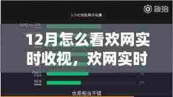 深度解析与全面评测,欢网实时收视数据,掌握十二月收视动向