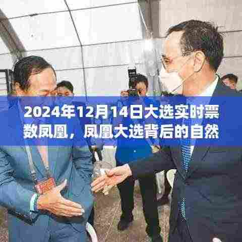 凤凰大选背后的自然之旅,探寻内心平静的奇妙探险(2024年大选实时票数解读)