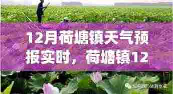 孜孜不倦 第5页