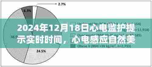心电感应之旅,寻找内心平静的奇妙历程