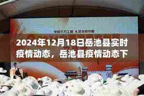 龙飞九五 第5页