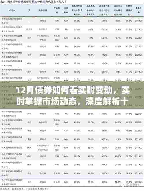 深度解析,十二月债券实时变动与市场动态掌握攻略