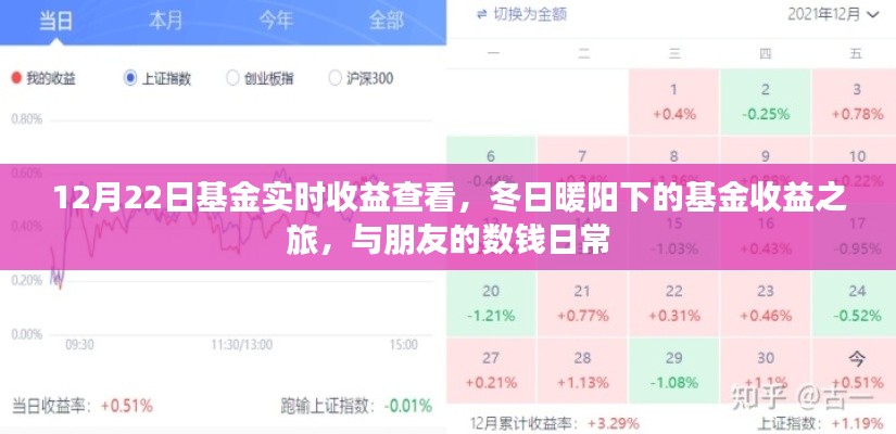 冬日暖阳下的基金收益之旅,实时查看基金收益与分享数钱日常