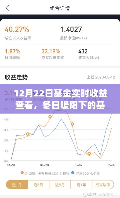 冬日暖阳下的基金收益之旅,实时查看基金收益与分享数钱日常