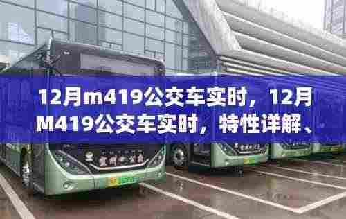 12月M419公交车实时信息及特性详解、用户体验与目标用户分析