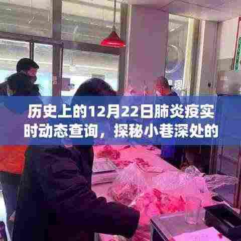 探秘小巷特色小店与历史上的十二月二十二日肺炎疫情实时动态查询之旅