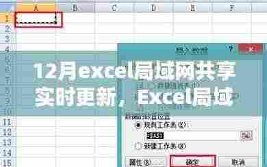 Excel局域网共享实时更新操作指南,从初学者到进阶用户的实用指南