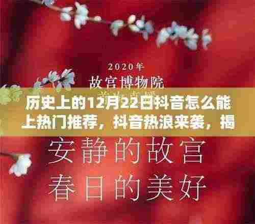 揭秘十二月二十二日抖音热门传奇，历史背后的成功秘诀与热浪来袭的启示