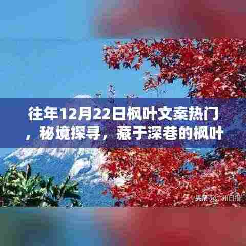 秘境探寻，枫叶秘境小店，深巷中的热门宝藏文案