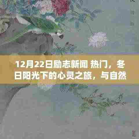 励志新闻回顾,冬日心灵之旅启程,与自然美景的不解之缘,寻找内心的宁静与力量