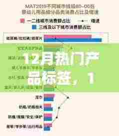 12月热门产品标签深度解析，市场洞察与策略布局
