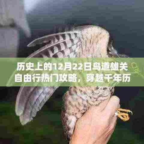 历史上的十二月二十二日,穿越千年历史,鸟道雄关自由行热门攻略与攻略详解