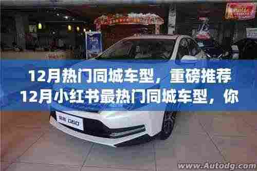 12月热门同城车型盘点,小红书最热门车型重磅推荐