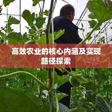 高效农业的核心内涵及实现路径探索