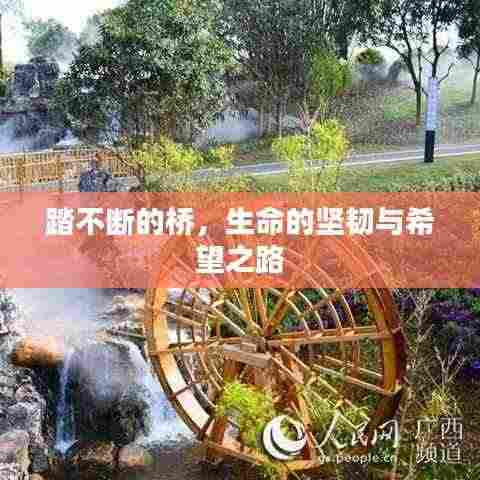 踏不断的桥,生命的坚韧与希望之路