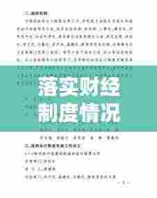 落实财经制度情况:落实财务制度情况