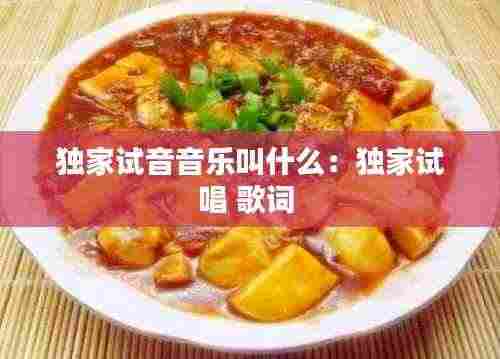 独家试音音乐叫什么:独家试唱 歌词