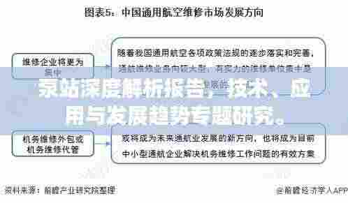 泵站深度解析报告，技术、应用与发展趋势专题研究。