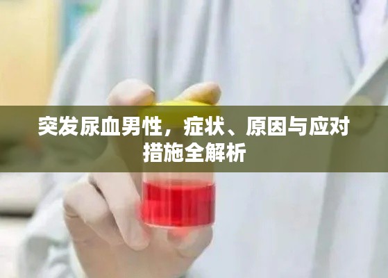 突发尿血男性,症状、原因与应对措施全解析