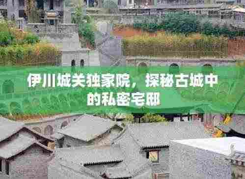 伊川城关独家院,探秘古城中的私密宅邸