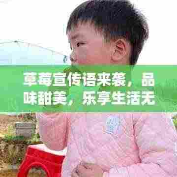 草莓宣传语来袭,品味甜美,乐享生活无限乐趣!