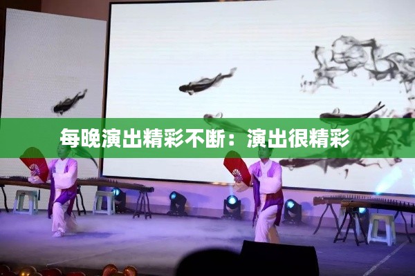 每晚演出精彩不断:演出很精彩