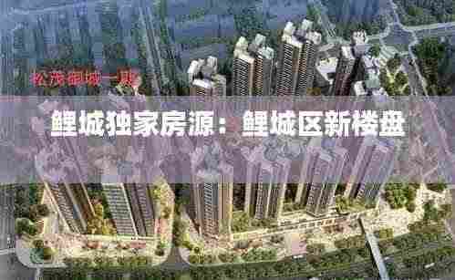 鲤城独家房源:鲤城区新楼盘