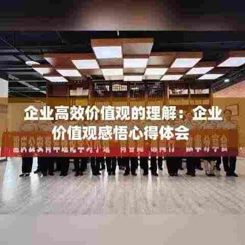企业高效价值观的理解:企业价值观感悟心得体会