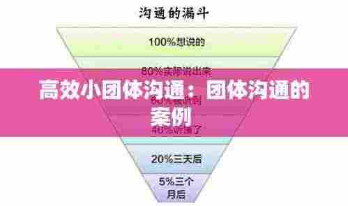 高效小团体沟通:团体沟通的案例