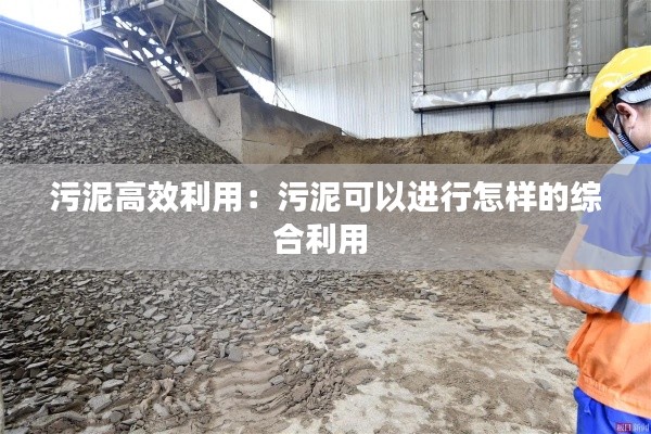 污泥高效利用：污泥可以进行怎样的综合利用 