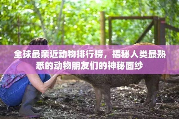 全球最亲近动物排行榜,揭秘人类最熟悉的动物朋友们的神秘面纱